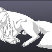 T. Wolf