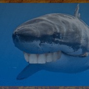 Sharky