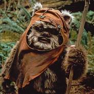 I am Ewok