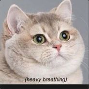 MLG Fat Cat