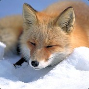 GeoKitFX
