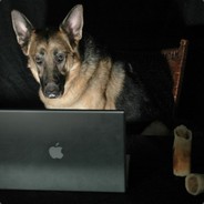 GermanShepherdGamer