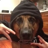 D0G L1FE CSGO500