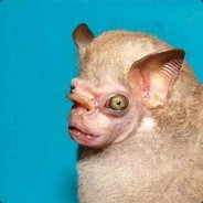 Billiam42