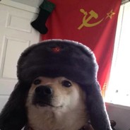 RussianDoggo