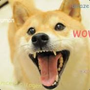 ☜☆☞DoGeLp☜☆☞ ©