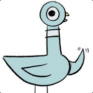 A Pigeon