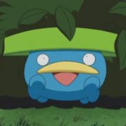 AFlippinTurtle