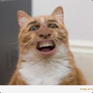 CAT XD :) <3