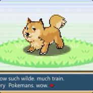 RETRODOGE
