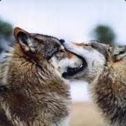 ~okami~