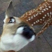 Therlol